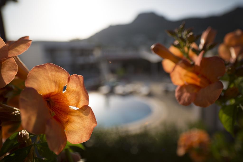 Genc Hotel Bodrum Værelse billede