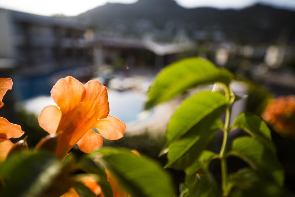 Genc Hotel Bodrum Eksteriør billede